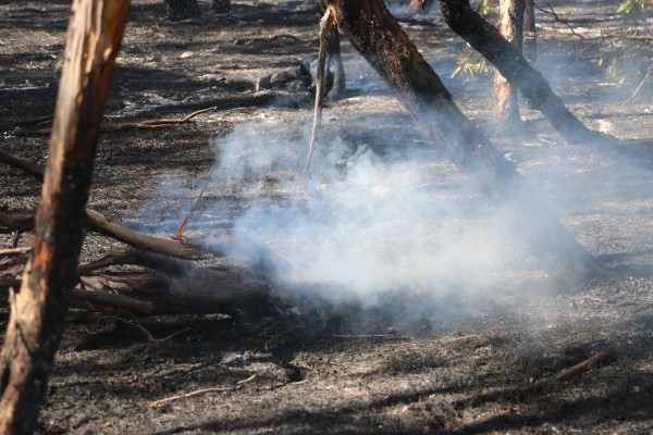 Recovery Team in place after West Wimmera fires